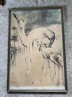 Han van Meegeren Tekening Ree met Jong Ingelijst Origineel, Antiek en Kunst, Ophalen of Verzenden
