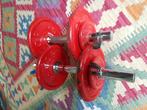 Twee old school gewichten, Ophalen, Gebruikt, Rug, Dumbbell