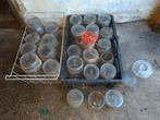 bijna 60 antieke weckpotten 0,5L 1L 2L off grid,, Ophalen of Verzenden, Gebruikt