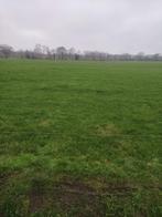 gevraagd weiland  te koop, Dieren en Toebehoren, Stalling en Weidegang