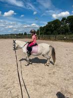 gezocht bijrijder, Dieren en Toebehoren, Paarden en Pony's | Overige Paardenspullen, Ophalen