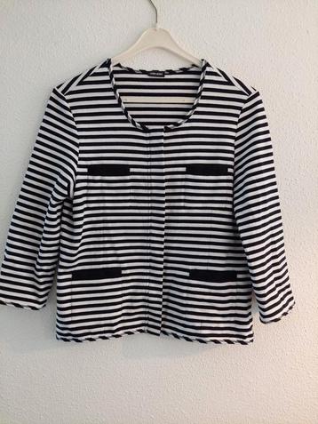 Jasje lengte 58cm Gerry Weber M blauw/wit katoen 3xGedragen. beschikbaar voor biedingen