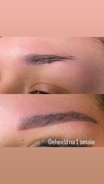 PMU Powderbrows / lipblush beschikbaar voor biedingen