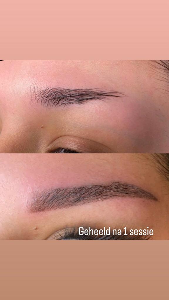 PMU Powderbrows / lipblush, Sieraden, Tassen en Uiterlijk, Uiterlijk | Gezichtsverzorging, Zo goed als nieuw, Lippen, Ophalen