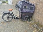 troy bakfiest, Ophalen, Gebruikt, 4 kinderen of meer