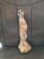 Super lief stokstaartje, Ophalen of Verzenden, Nieuw, Dier