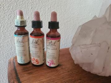BACH FLOWERS chicory aspen crabaple tm juni, juli sept houdb beschikbaar voor biedingen