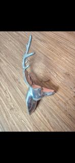 Antiek hert, Ophalen