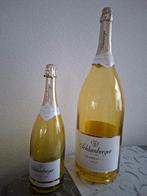 Buddy's mega decoratie wijnflessen 40+60 cm hoog nieuw., Ophalen, Nieuw, Frankrijk, Overige typen