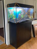Kast / meubel voor aquarium Juwel Rio 125 aquarium (Zwart), Ophalen, Zo goed als nieuw, Overige typen