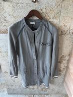 Anna Van Toor Vest Jas Maat M 95% Katoen Grijs Dames, Ophalen of Verzenden, Zo goed als nieuw, Maat 38/40 (M), Grijs