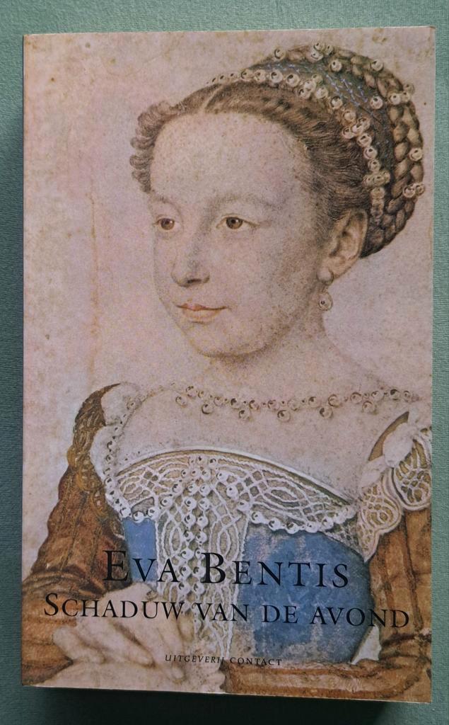 Schaduw van de avond - leven in late Middeleeuwen, Boeken, Geschiedenis | Vaderland, Nieuw, 14e eeuw of eerder, Ophalen of Verzenden