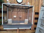 Mooie vogelkooi nieuw 160euro nu60euro, Dieren en Toebehoren, Ophalen of Verzenden, Zo goed als nieuw, Metaal, Vogelkooi