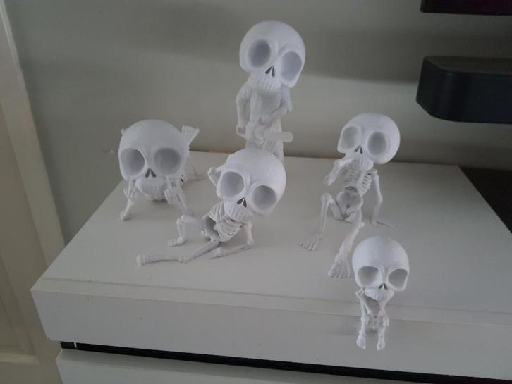 ontmoet de nieuwe chill skeleton familie, Hobby en Vrije tijd, Feestartikelen, Nieuw, Feestartikel, Halloween of Griezel, Ophalen of Verzenden