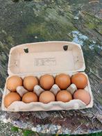 Eieren, Dieren en Toebehoren, Pluimvee | Toebehoren, Ophalen, Overige typen