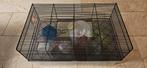 Hamsterkooi, onderbak is transparant plus benodigdheden, Dieren en Toebehoren, Kooi, Minder dan 75 cm, Zo goed als nieuw, Hamster