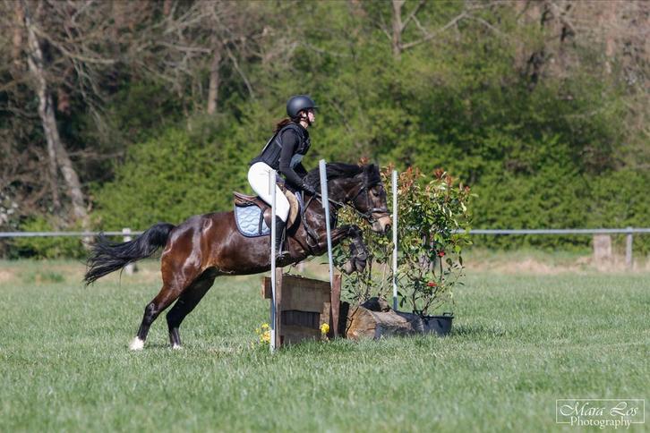 Bijrijder aangeboden, Dieren en Toebehoren, Paarden en Pony's | Overige Paardenspullen, Ophalen
