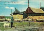 Ansichtkaart	Epe	Schaapskudde	op de Renderklippen, Verzamelen, Ansichtkaarten | Nederland, Verzenden, 1960 tot 1980, Gelopen, Gelderland