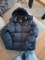 Winterjas Tommy hilfiger, Kleding | Dames, Jassen | Winter, Ophalen of Verzenden, Zo goed als nieuw