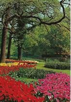 Lisse- -Bloemenland., Verzamelen, Ansichtkaarten | Nederland, Verzenden, 1980 tot heden, Ongelopen, Zuid-Holland