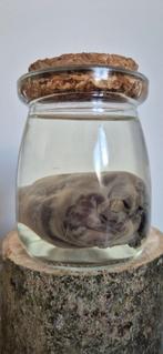 Te koop: Grauwe ganzen hart, Verzamelen, Ophalen of Verzenden, Nieuw, Beeldje of Figuurtje