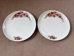 Twee dinerborden van Royal Schwabap 23,5 cm, Ophalen of Verzenden