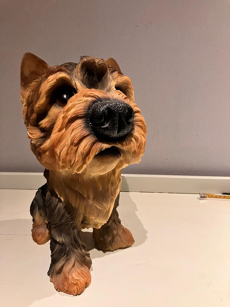 Yorkshire Terriër Beeld - Groot Hoofd, Ophalen of Verzenden, Zo goed als nieuw, Dier