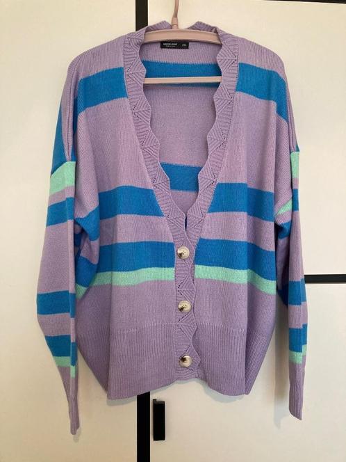 NIEUW Vest zachte kleuren strepen ajour sierranden maat 52, Kleding | Dames, Truien en Vesten, Nieuw, Maat 46/48 (XL) of groter
