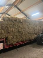 Hooibalen, kleine hooibalen, hooi balen, Dieren en Toebehoren, Dierenvoeding, Ophalen, Vee