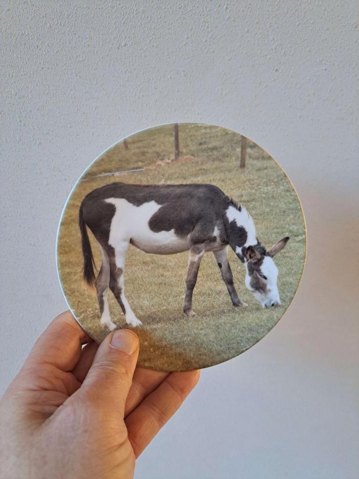 Ezel eet gras wandbord, porselein D16cm, Verzamelen, Overige Verzamelen, Nieuw, Ophalen of Verzenden