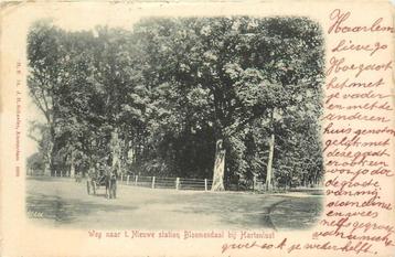 (388-156-001) Bloemendaal Weg naar t Nieuwe Station beschikbaar voor biedingen