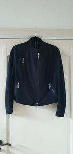 Dolce vita prachtige jas maat 40 zgan, Kleding | Dames, Maat 38/40 (M), Zwart, Ophalen of Verzenden, Zo goed als nieuw