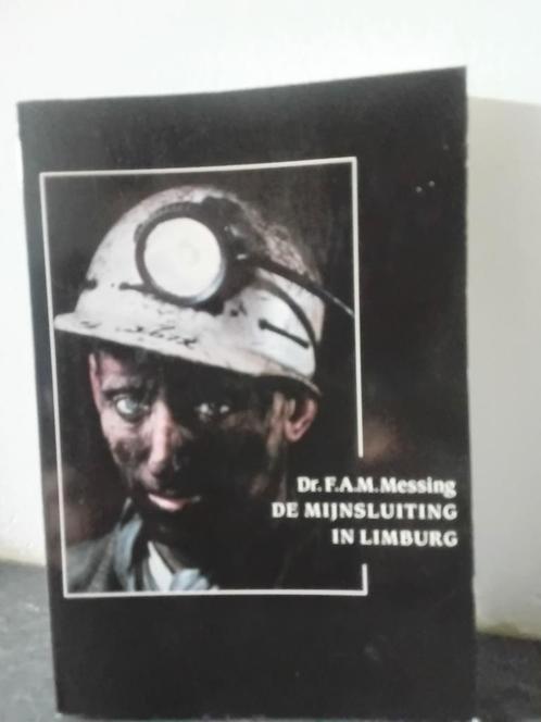 De Mijnsluiting in Limburg       Limburgse Steenkool Mijnen, Boeken, Overige Boeken, Zo goed als nieuw, Ophalen of Verzenden