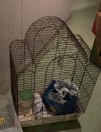 10 euro, Dieren en Toebehoren, Ophalen of Verzenden