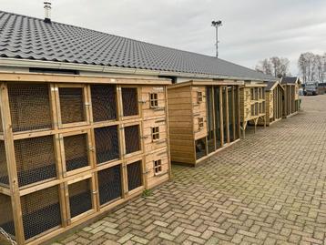 Konijnenhok konijnenren konijnenflat ook maatwerk beschikbaar voor biedingen