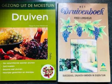 2 DRUIVEN boeken voor maar € 10,00 . beschikbaar voor biedingen