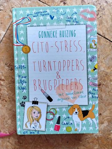 Gonneke Huizing - Cito-stress, turntoppers en brugpiepers beschikbaar voor biedingen