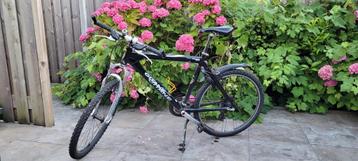 Giant Mountainbike - Rock 12 beschikbaar voor biedingen