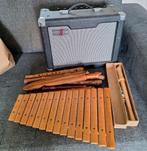 Muziekinstrumenten (versterkertje, Blokfluiten, xylofoon), Muziek en Instrumenten, Ophalen of Verzenden, Gebruikt, Gitaar, Minder dan 50 watt