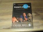 Cesars aanpak Cesar Millan (nieuw), Ophalen of Verzenden, Nieuw, Honden