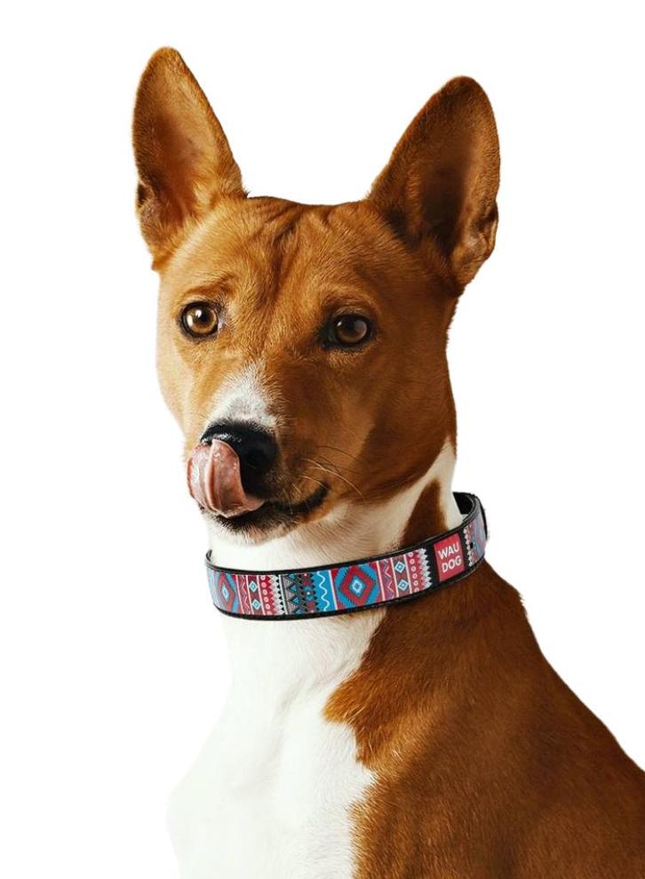 WAUDOG Ethno Lederen Halsband Zwart Nek 27-36 cm KOOPJE!!!, Dieren en Toebehoren, Hondenhalsbanden en Penningen, Nieuw, Handgemaakt