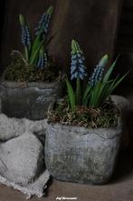 Bloempotje gevuld met mos en blauwe druifjes, Nieuw, Ophalen of Verzenden, Info@jufbrocante.nl, Juf Brocante