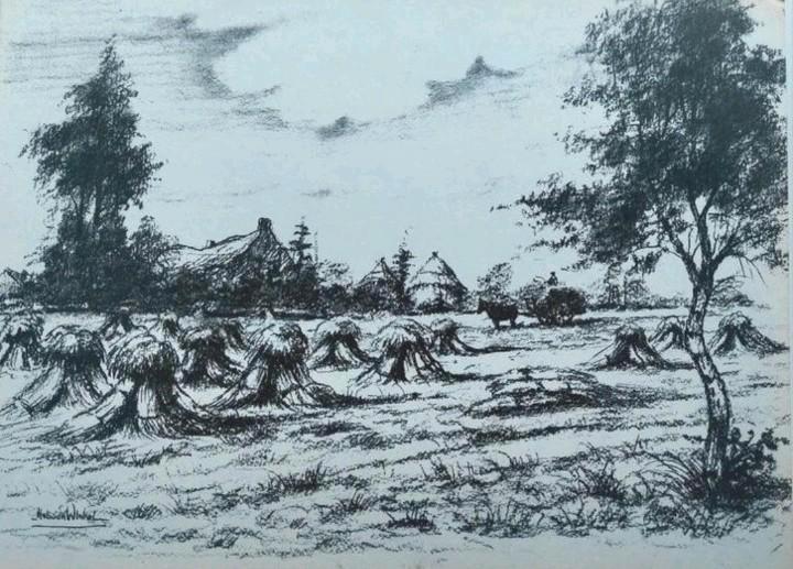 Originele tekening.. Hub van Winkel.., Antiek en Kunst, Kunst | Tekeningen en Foto's, Ophalen of Verzenden