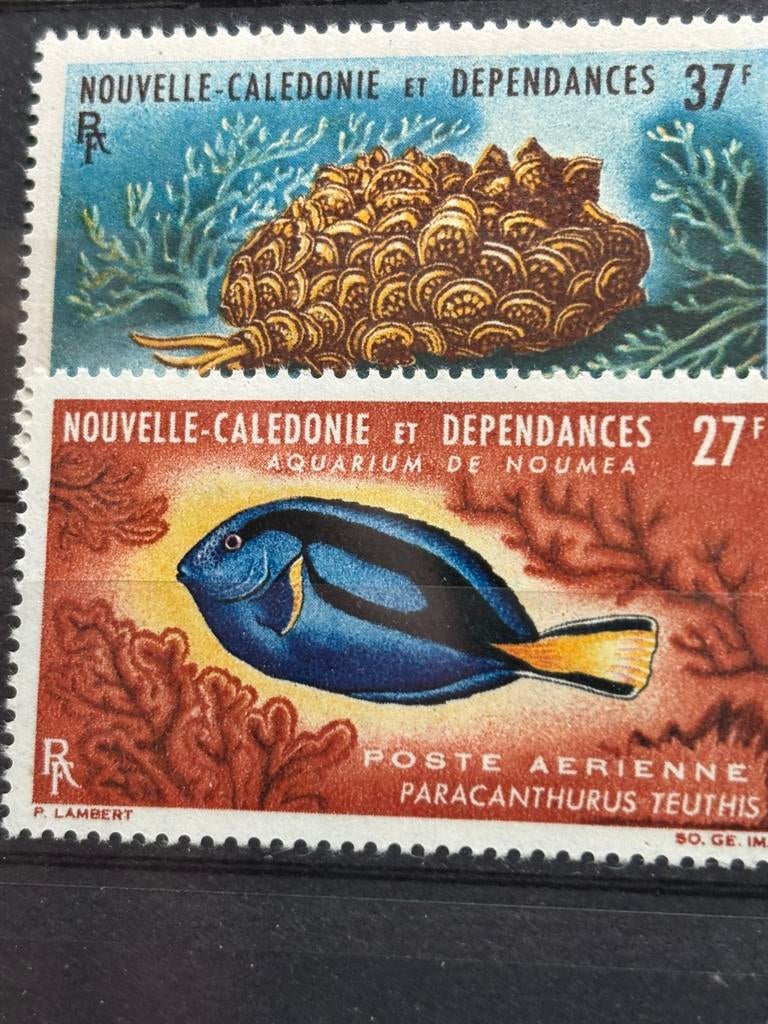 Nouvelles CALEDONIË 1964, Ophalen of Verzenden, Postfris
