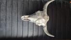Aluminum Stierenkop, Huis en Inrichting, Woonaccessoires | Wanddecoraties, Verzenden, Zo goed als nieuw