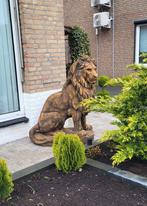 Grote leeuw 600 kilogram