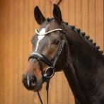 Passier Favorite Powered by Ingrid Klimke, Zwart,Cob en Full, Dieren en Toebehoren, Ophalen of Verzenden, Nieuw