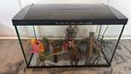 Superfish aquarium 100L + allerlei accessoires, Ophalen, Zo goed als nieuw, Leeg aquarium