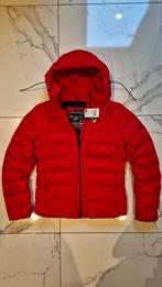Rode Winterjas Dames - Maat M, Ophalen of Verzenden, Nieuw, Maat 38/40 (M), Rood