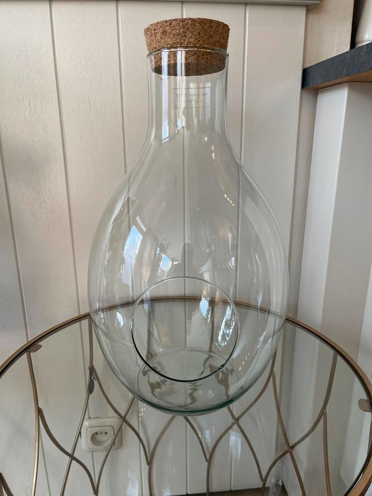 The Green Bottle Garden Vaas, Huis en Inrichting, Woonaccessoires | Vazen, Zo goed als nieuw, Groen, Minder dan 50 cm, Glas, Ophalen